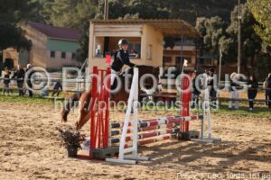 Poney_3_CSO_10h28_163.jpg