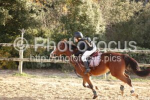 Poney_3_CSO_10h29_172.jpg
