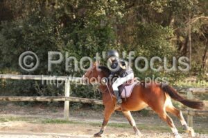 Poney_3_CSO_10h29_173.jpg