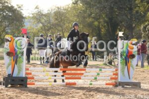 Poney_3_CSO_10h30_174.jpg