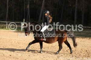 Poney_3_CSO_10h31_184.jpg