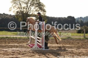 Poney_3_CSO_10h33_191.jpg