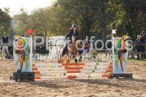 Poney_3_CSO_10h35_194.jpg