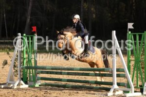 Poney_3_CSO_10h35_198.jpg