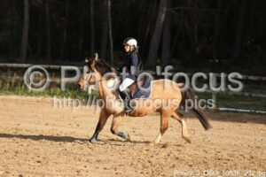 Poney_3_CSO_10h36_202.jpg