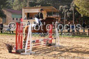 Poney_3_CSO_10h40_219.jpg