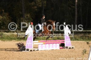 Poney_3_CSO_10h41_223.jpg