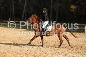 Poney_3_CSO_10h42_226.jpg