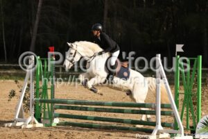 Poney_3_CSO_10h43_231.jpg