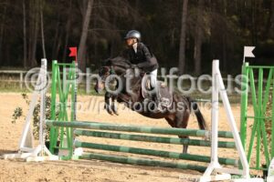 Poney_3_CSO_10h45_241.jpg