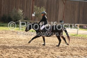 Poney_3_CSO_10h46_246.jpg