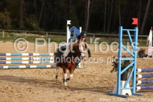 Poney_3_CSO_10h47_250.jpg