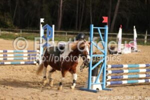 Poney_3_CSO_10h47_251.jpg