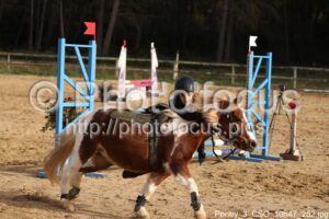 Poney_3_CSO_10h47_252.jpg