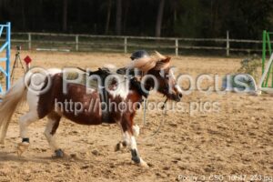 Poney_3_CSO_10h47_253.jpg