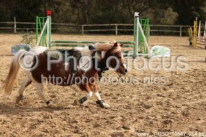 Poney_3_CSO_10h47_254.jpg