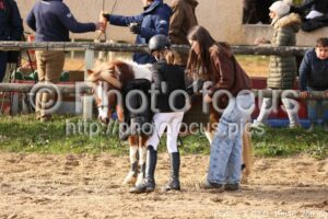 Poney_3_CSO_10h48_256.jpg