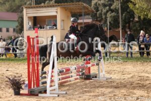 Poney_3_CSO_10h49_259.jpg