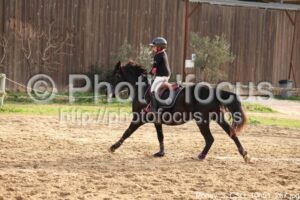Poney_3_CSO_10h51_267.jpg
