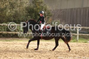Poney_3_CSO_10h51_268.jpg