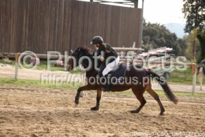 Poney_3_CSO_10h53_279.jpg