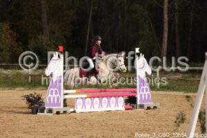 Poney_3_CSO_10h54_288.jpg