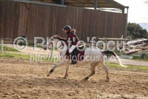 Poney_3_CSO_10h55_292.jpg