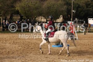 Poney_3_CSO_10h55_297.jpg