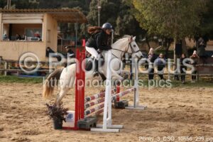 Poney_3_CSO_10h56_299.jpg