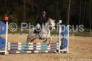 Poney_3_CSO_10h56_300.jpg