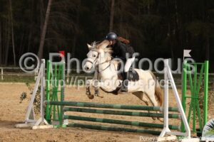 Poney_3_CSO_10h56_302.jpg