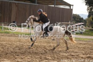 Poney_3_CSO_10h57_307.jpg