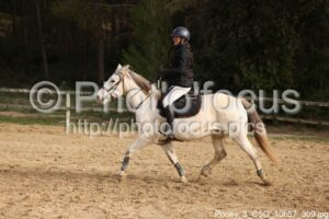 Poney_3_CSO_10h57_309.jpg