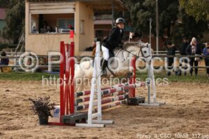 Poney_3_CSO_10h58_312.jpg