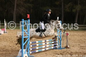 Poney_3_CSO_10h58_314.jpg