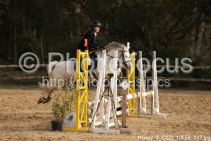 Poney_3_CSO_10h58_317.jpg