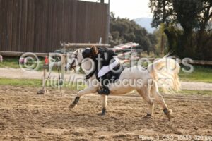Poney_3_CSO_10h59_320.jpg