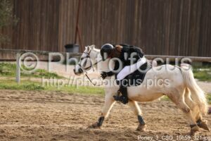 Poney_3_CSO_10h59_321.jpg
