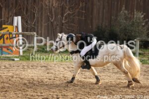 Poney_3_CSO_10h59_322.jpg