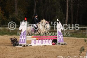 Poney_3_CSO_11h01_330.jpg