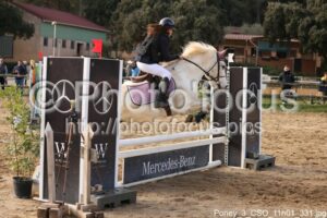 Poney_3_CSO_11h01_331.jpg