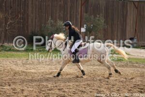 Poney_3_CSO_11h01_333.jpg