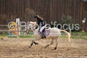 Poney_3_CSO_11h01_334.jpg