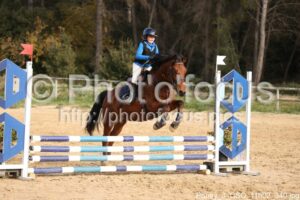 Poney_3_CSO_11h02_340.jpg