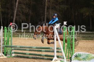 Poney_3_CSO_11h02_342.jpg
