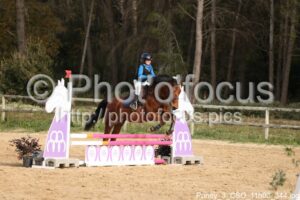 Poney_3_CSO_11h03_344.jpg