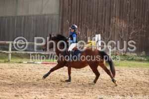 Poney_3_CSO_11h03_348.jpg