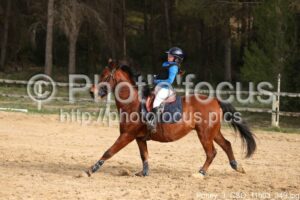 Poney_3_CSO_11h03_349.jpg