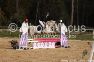Poney_3_CSO_11h05_356.jpg