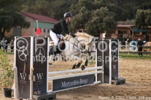 Poney_3_CSO_11h05_358.jpg